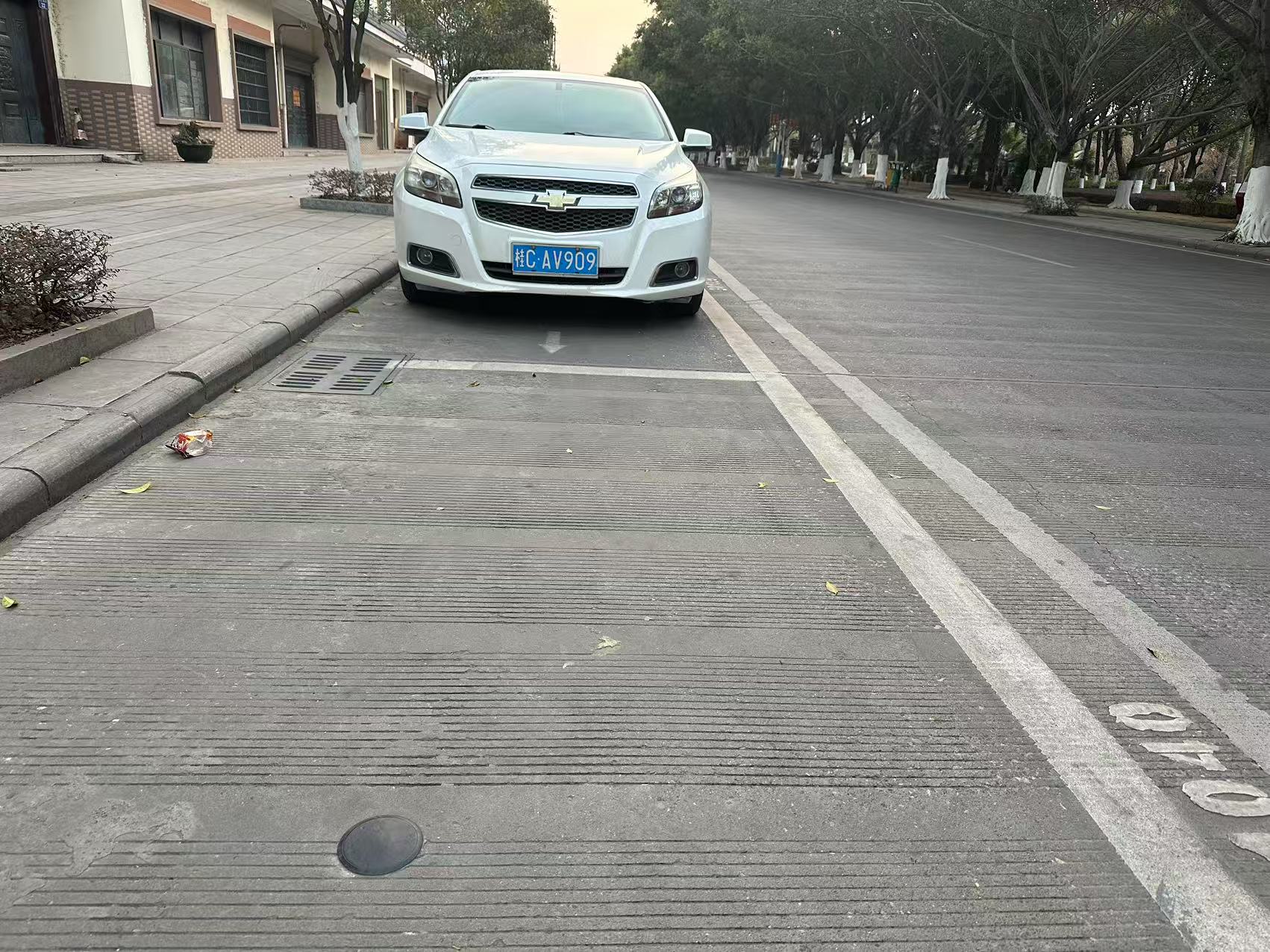 荔浦市智慧停車項目-無錫華賽NB雙模地磁